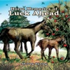Horse Memories of Luck Ahead