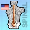 SpinalCord Digital Study ENGLISH version