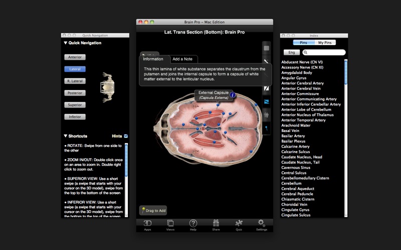 Brain Pro screenshot1