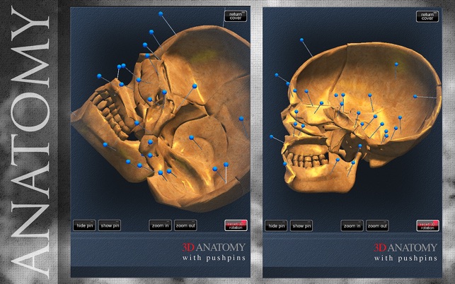 Sagittal Skull 3D(圖2)-速報App