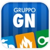 Gruppo GN Pronto Intervento