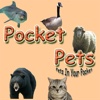 Pocket Pets