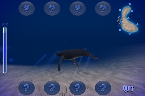 Humpback Whale Free screenshot 3