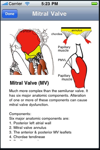 Heart Illustrated