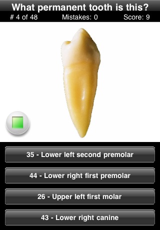 Animated Tooth Quiz
