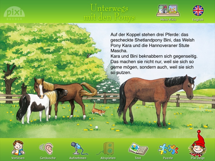 Pixi Buch "Unterwegs mit den Ponys"