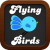 Flying Birds!