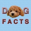 Ultim8 Dog Facts