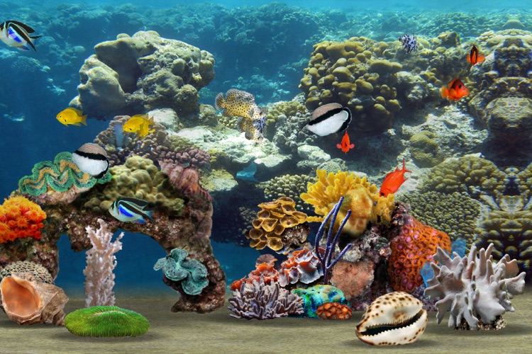 MyReef 3D Aquarium screenshot-4