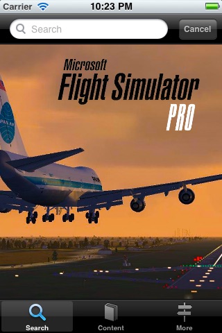 Flight Simulator Pro screenshot-3