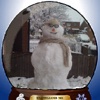 snowglobe me