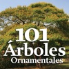 101 Árboles Ornamentales