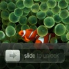 Slide to unlock