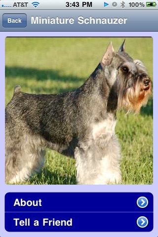 Best Dog Breeds - Hypoallergenic screenshot 4