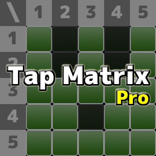 Touch the Matrix Pro