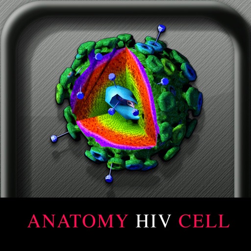 Anatomy HIV cell