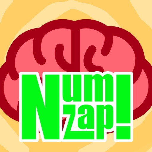 NumZap!