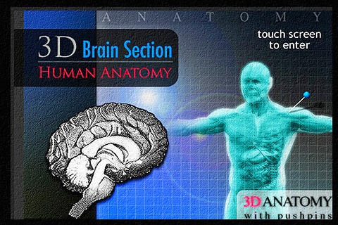 Brain Section 3D screenshot 2