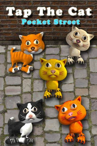 Tap The Cat - Pocket Street screenshot 2