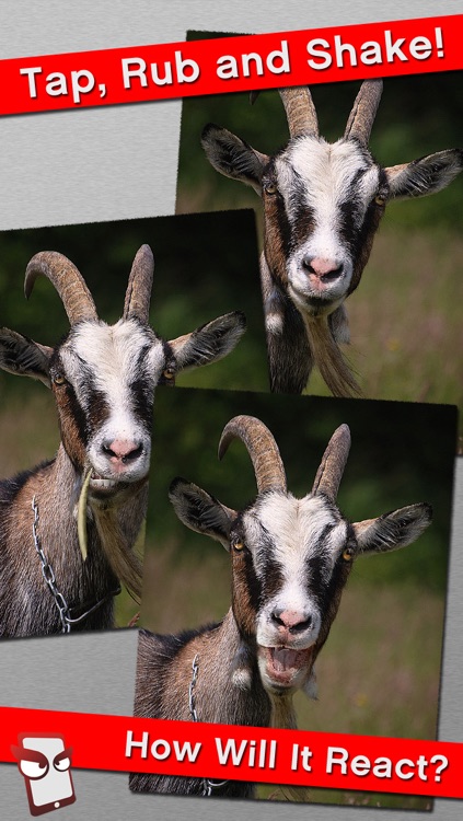 AngryFarm Free - The Angry Farm Animal Simulator