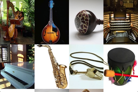 Discover Musical Instruments screenshot 4