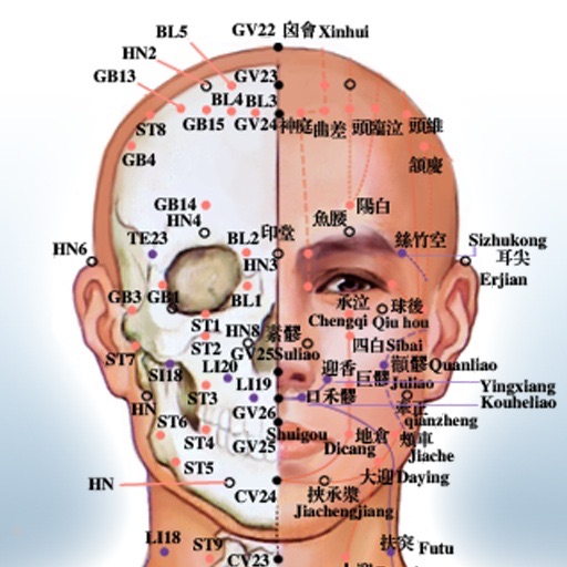 Acupoints 穴位