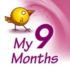 My 9 Months by RollerCoaster.ie