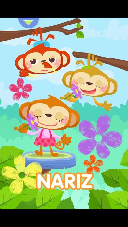 VTech: Little App Panda