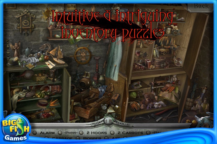 Redemption Cemetery: Curse of the Raven Collector's Edition screenshot-3