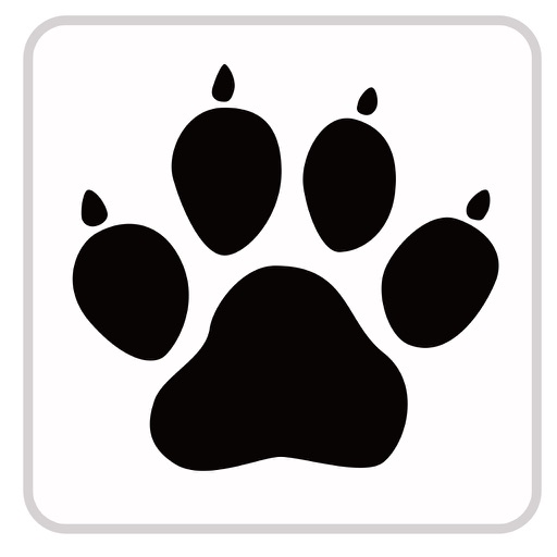 AnimalQuiz-Dog,Cat,Bird,Fish,Dinosaur,Insects- Icon