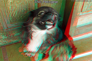 3D Photos Screenshot 5