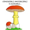 Guida Funghi