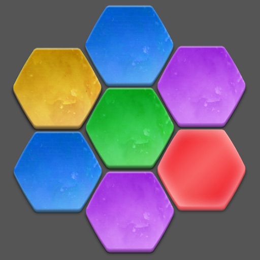 Same Hexagon Icon