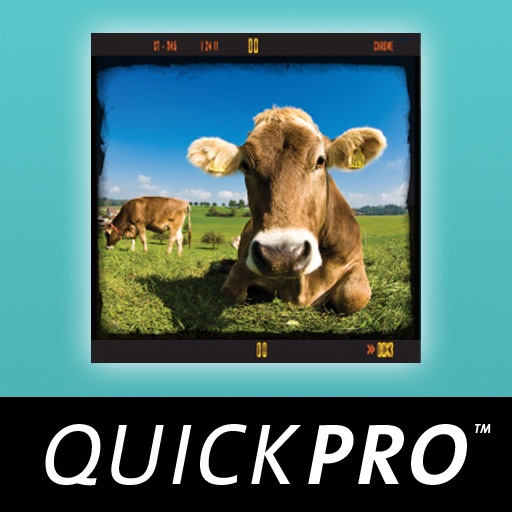 Composition Essentials from QuickPro