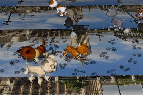 Kitten Fingers! with Augmented Reality Kitty Cats! screenshot 4