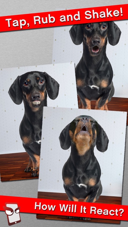AngryDog Free - The Angry Dog Simulator