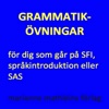 Grammatikövningar