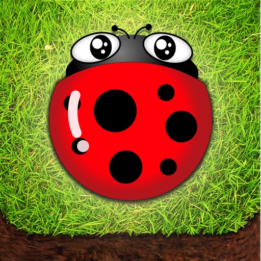 Bug Story iOS App