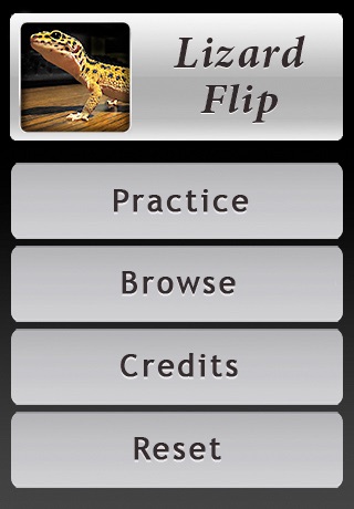 Lizard Flip: Flashcards of Dragons & Lizards screenshot 3