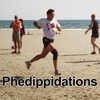Virtual Running Partner - Phedippidations
