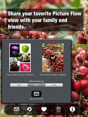 Picture Flow screenshot 3