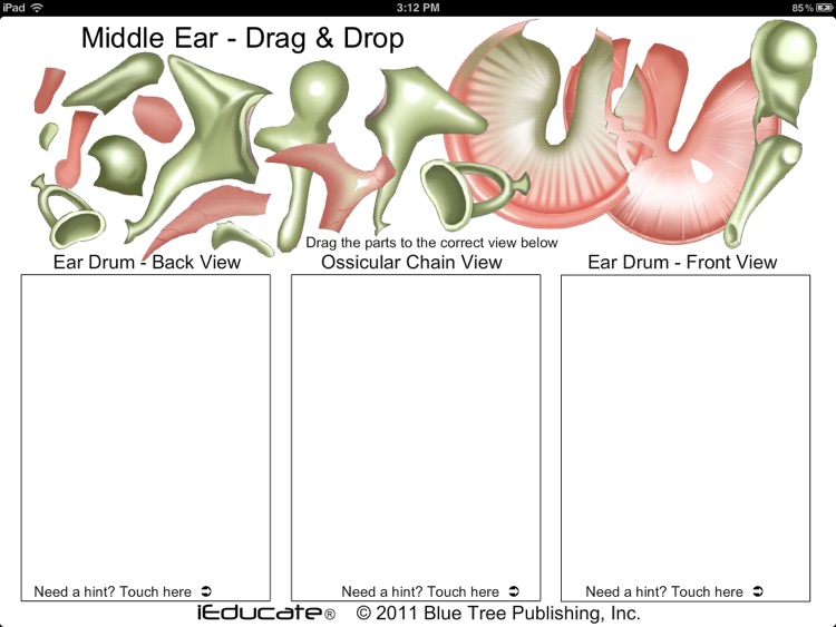 Middle Ear DnD