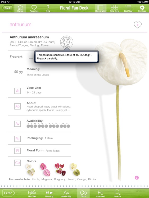 Floral Fan Deck screenshot-3