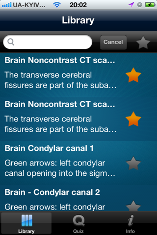 CT Scan screenshot 2