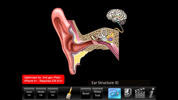 Ear ID