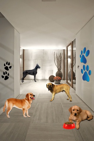 My Dog Paint - Paint draw and Clone Dog stickers on your images screenshot 3