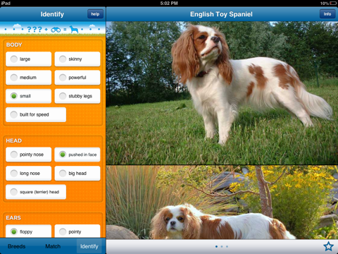 Perfect Dog HD Free - Ultimate Breed Guide To Dogs screenshot 3