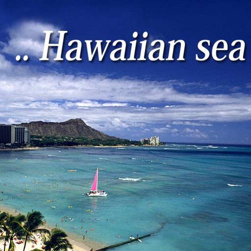 Yoji ISHIKAWA ”world 旅” - Hawaiian sea