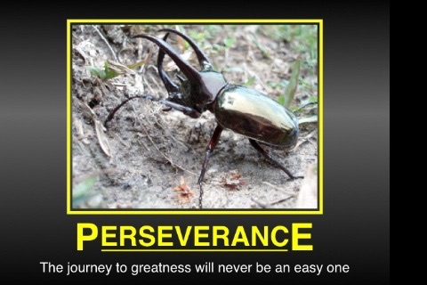 Instant Motivator Free