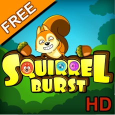 Activities of Squirrel Burst HD Free